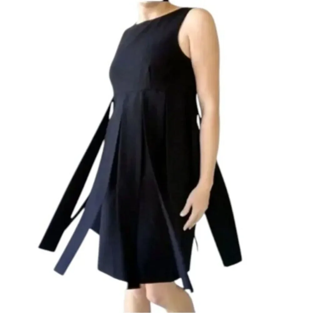 Cabi Flapper Empire Waist Black Sleeveless Car Wash Shift Dress 236 Women Size 4